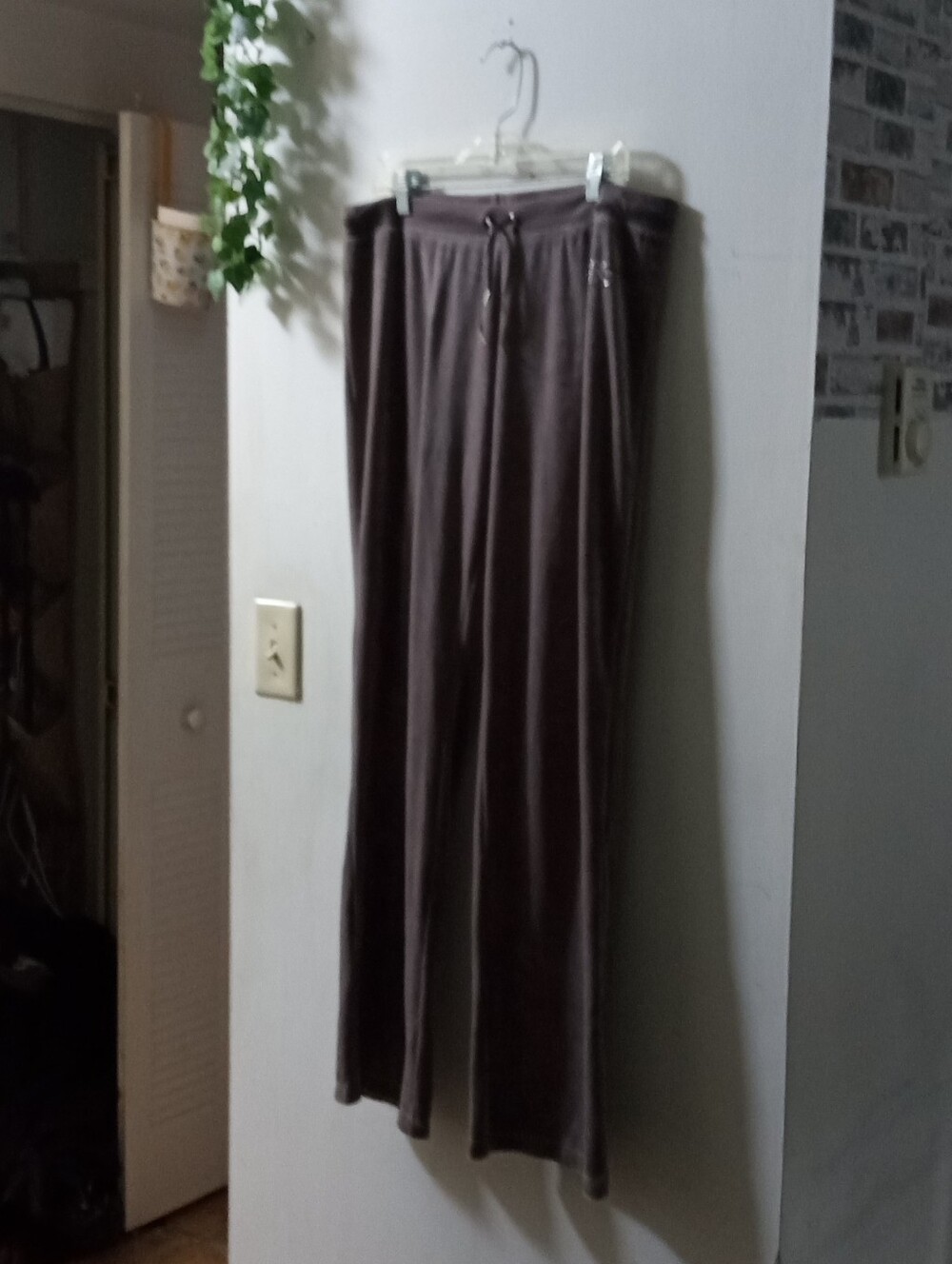 BCBG Velour  Drawstring Pants